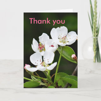 Greeting card spring flowers