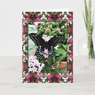 Greeting Card Swallowtail & Cosmos