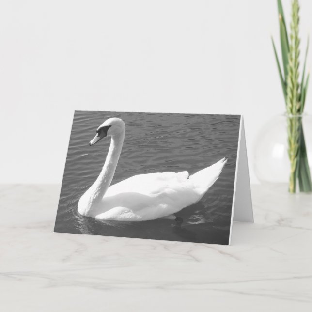 Greeting Card - Swan in Black & White (Front)