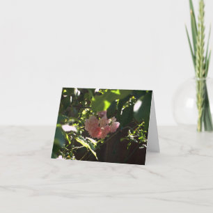 Greeting Card - Sympathy