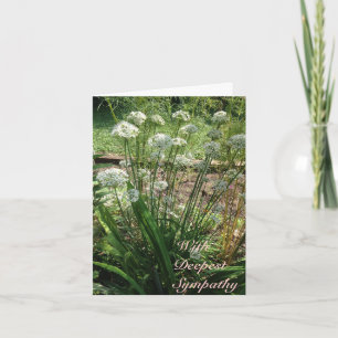 Greeting Card - Sympathy