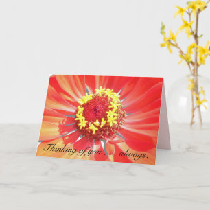 Greeting Card - Thinking of You - Red Zinnia