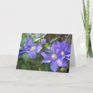 Greeting Card - ThinkingOfYou