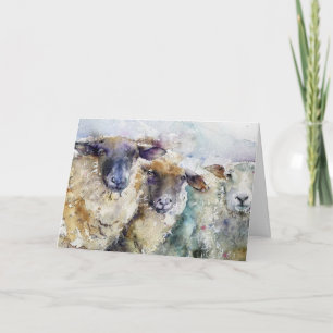 Greeting Card - Three Sheep In A Row