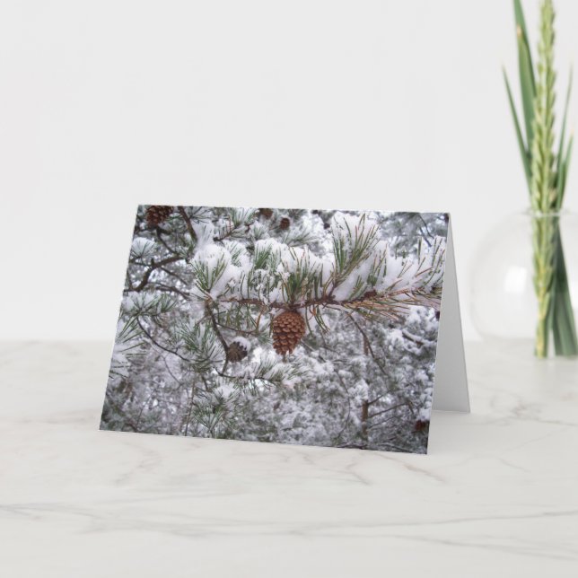 Greeting Card - Winter Pine (Front)