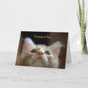 Greeting Card with Adorable Orange Tabby Kitten
