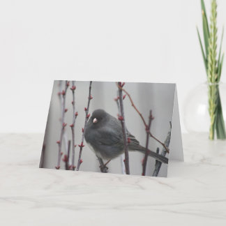 Greeting card with bird in a tree