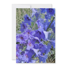 Greeting card with larkspur flower design "Hi!"