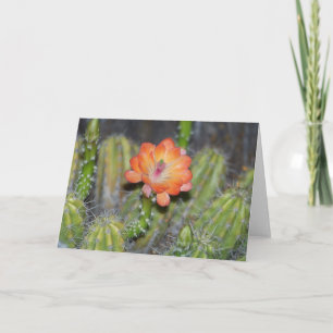 Greeting Card with Orange cactus flower