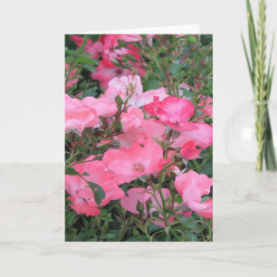 Greeting Card with Pink Roses