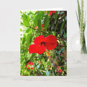 Greeting card with red flower cover