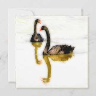 Greeting Card with two black swans on water