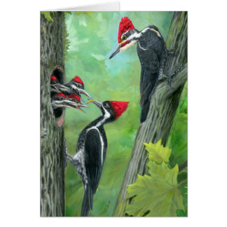 Greeting card woodpecker family wilderness red
