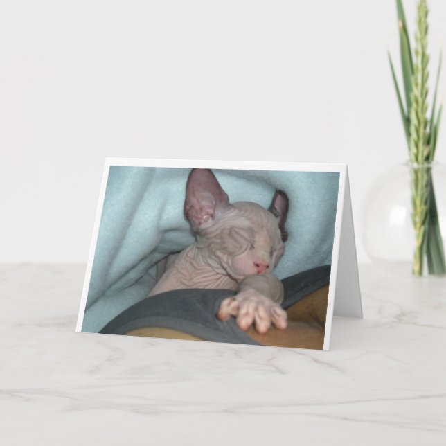 Greeting cards (Front)