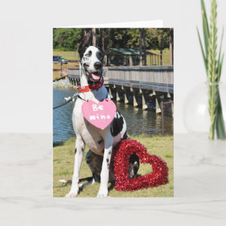Greeting Cards by Dozer the Therapy Dog