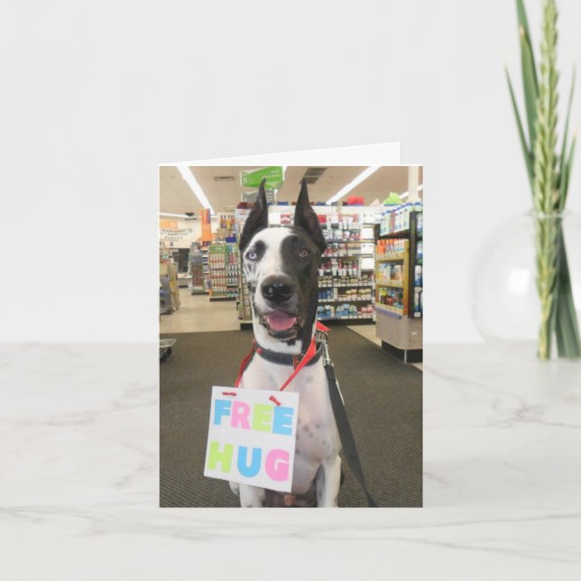 Greeting Cards by Dozer the Therapy Dog (Front)