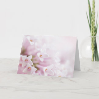 Greeting Cards pink flowers Horizontal