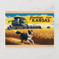 Greeting From Kansas Wheat Combine Border Collie