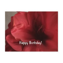 greetings birthday flat card