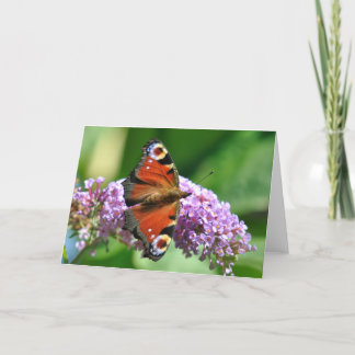 Greetings Card - Butterfly 2