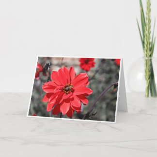 Greetings card featuring a bee on a red flower