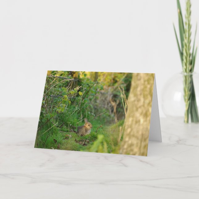 Greetings Card - Rabbit 2 (Front)