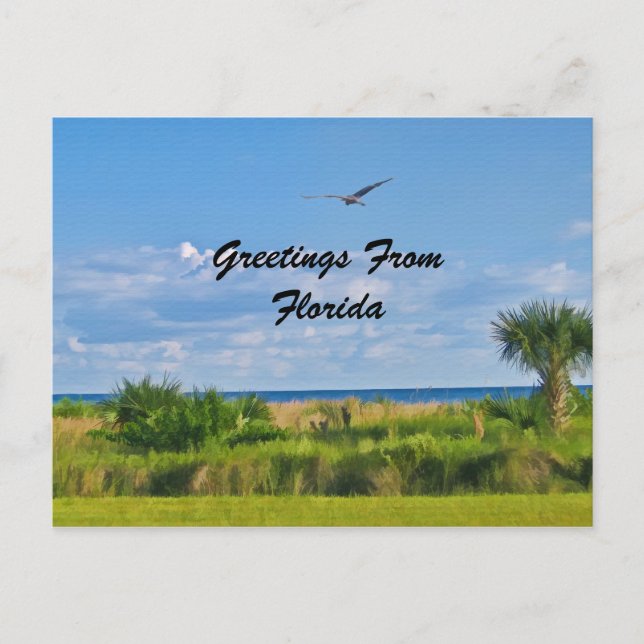 Greetings, Florida, Postcard (Front)