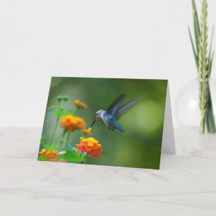 Greetings!  From A Summer Hummer! Card