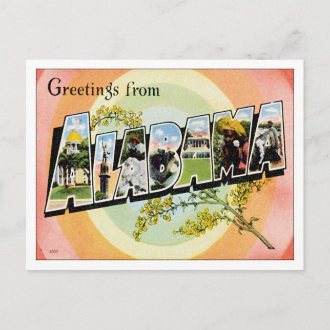 Greetings From Alabama Postcard (Front)
