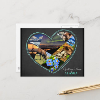 Greetings From Alaska ♥ Postcard