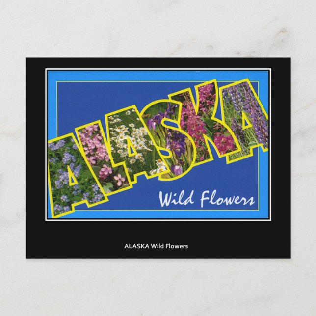 Greetings from Alaska Vintage Postcard (Front)