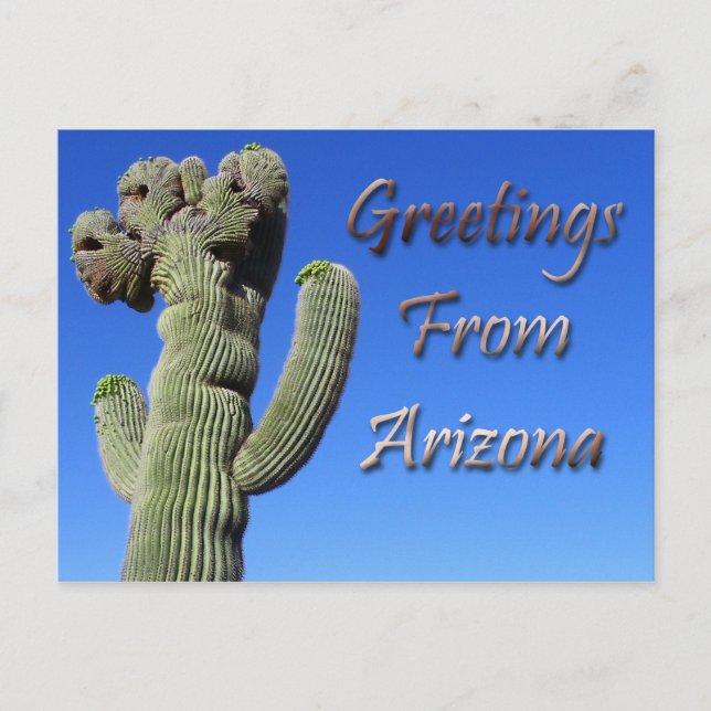 Greetings From Arizona Postcard (Front)