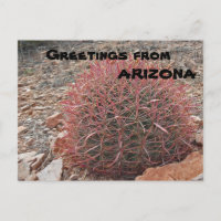 Greetings from Arizona Red Barrel Cactus Plant