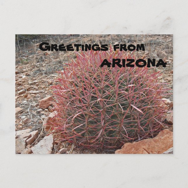 Greetings from Arizona Red Barrel Cactus Plant Postcard (Front)
