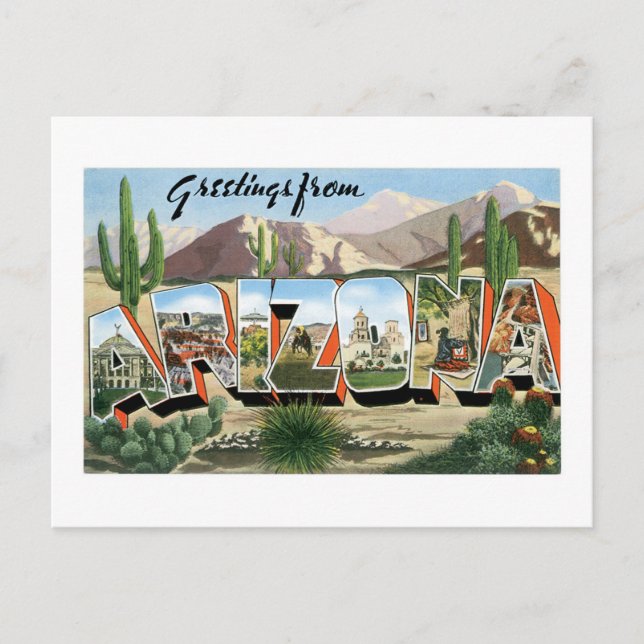 Greetings from Arizona! Retro Catcus Desert Postcard (Front)