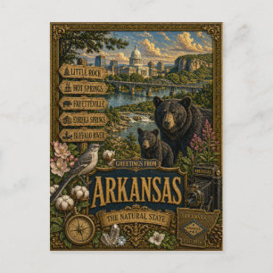 Greetings From Arkansas   Vintage Retro Art Postcard