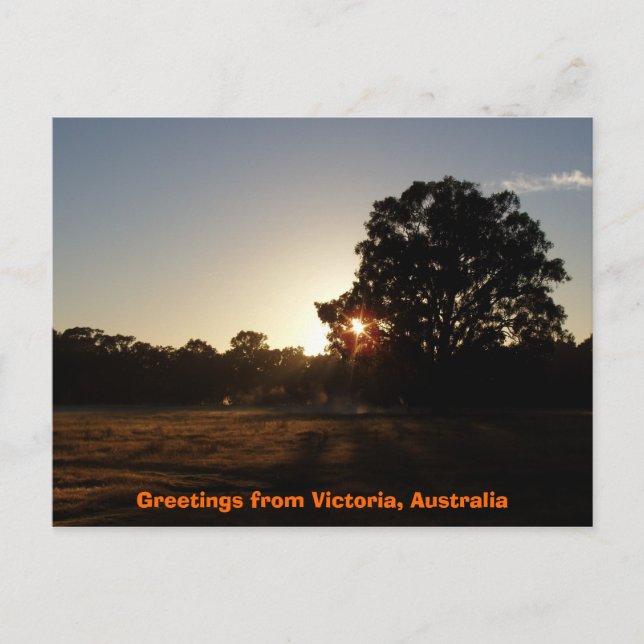 Greetings from Australia Postcard (Front)