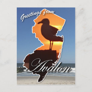 Greetings from Avalon Postcard