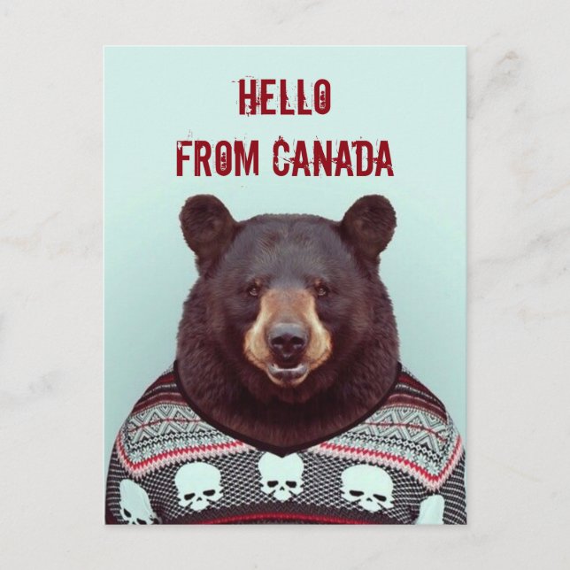 Greetings, from Bear Postcard (Front)