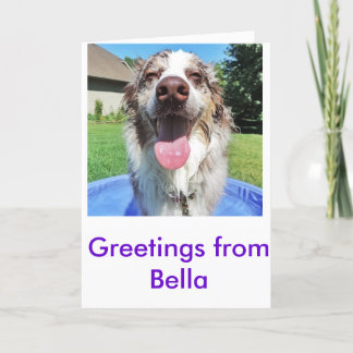 Greetings from Bellatheaussie Card