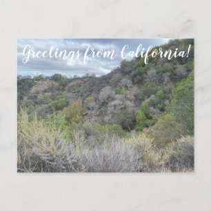 Greetings from California! Postcard