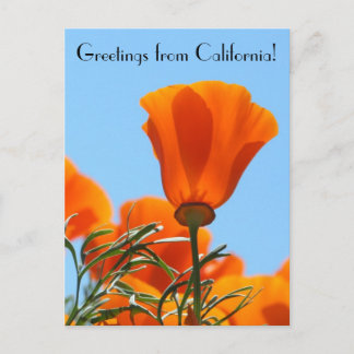 Greetings from California! Postcard