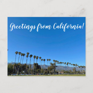 Greetings from California: The American Riviera Postcard