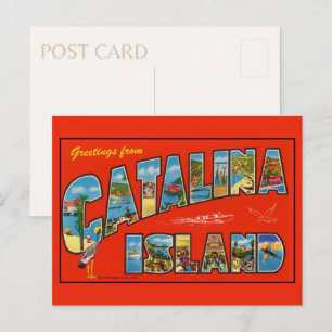 Greetings from Catalina Island 1955 Vintage Postcard