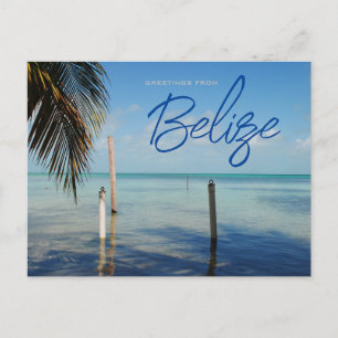 Greetings from Caulker Caye Belise Postcard