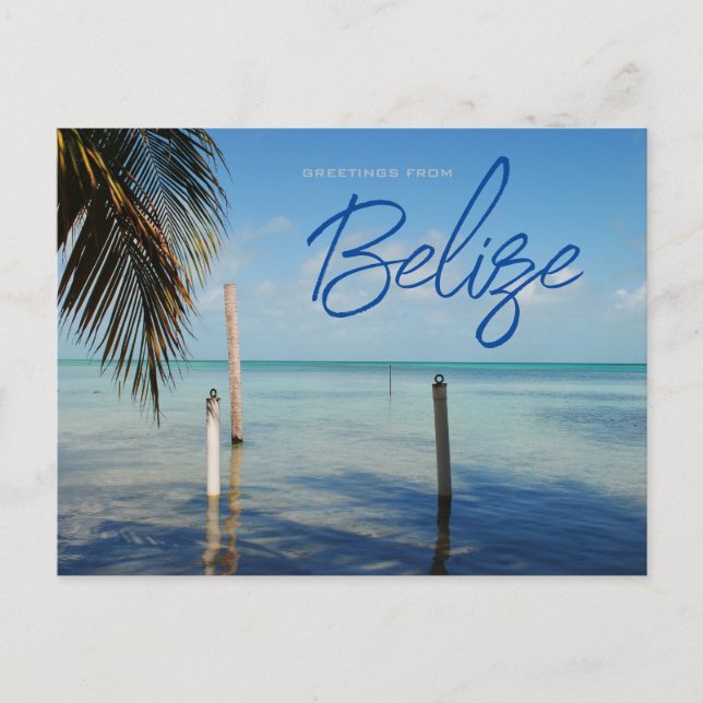 Greetings from Caulker Caye Belise Postcard (Front)