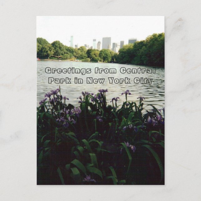 Greetings from Central Park in New York City Postcard (Front)