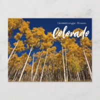 Greetings from Colorado Postcard Aspen Trees
