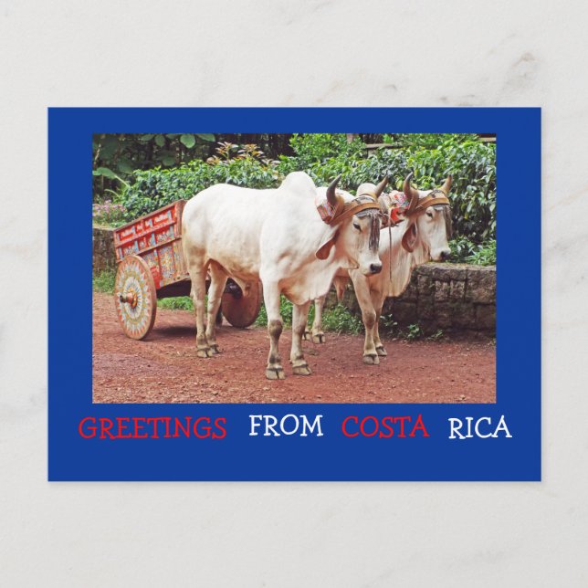 Greetings From Costa Rica Postcard (oxen &oxcart) (Front)