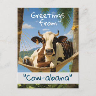 Greetings from "Cow-abana" Holiday Postcard